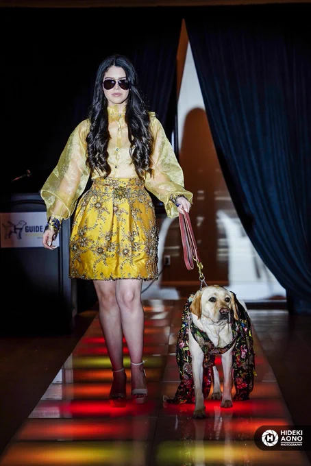 A young woman confidently walks down a fashion show runway wearing a shimmering gold blouse with voluminous sleeves and an ornate yellow skirt adorned with intricate embellishments. She has long dark hair, wears sunglasses, and walks beside a yellow Labrador Retriever. The dog is dressed in a floral-patterned cape, matching the glamour of the event. The runway is lit with multicolored floor lights and the Guide Dog Foundation logo is visible in the background.