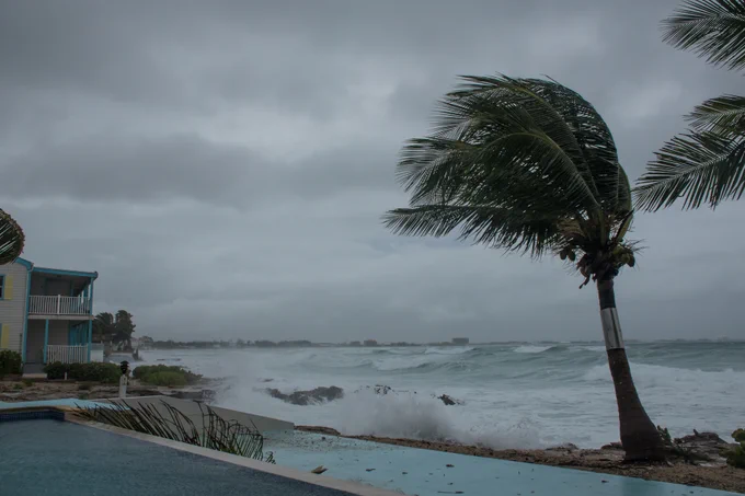 A palm tree sways in the wind as dark clouds bring in hurricane speed winds on a beach