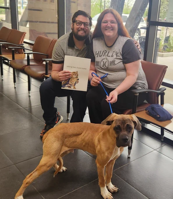 A man and woman sitting with a tan boxer dog standing in front of them.