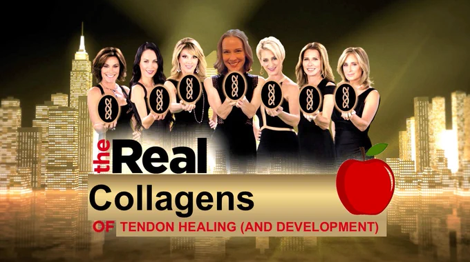 Picture of the Real Housewives of New York holding collagen molecules