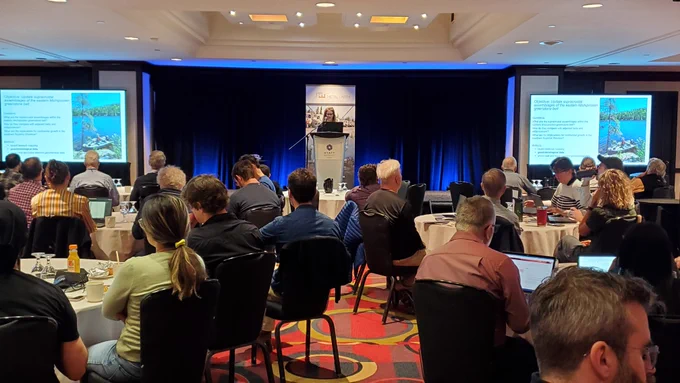 Industry geologists and academic researchers take in a presentation from PhD student Lianna Vice, standing at a podium in a hotel ballroom.  