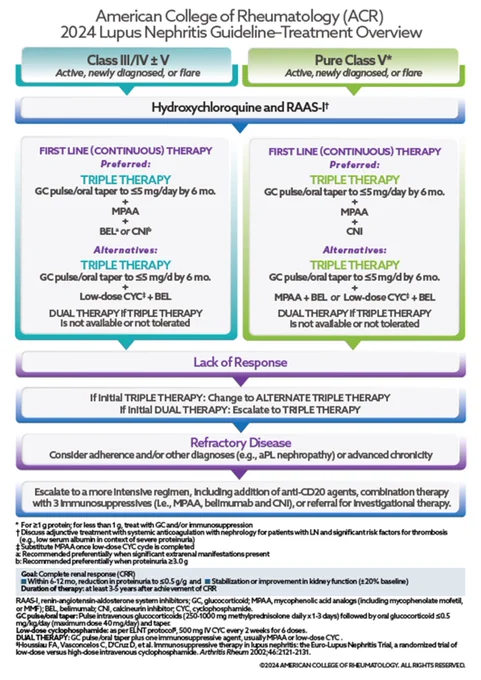 2024 ACR Guideline for the Screening, Treatment, and Management of Lupus Nephritis summary