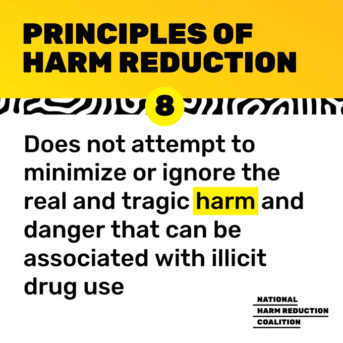 Yellow gradient background frames top of graphic, behind bold, all caps text in black reading, "PRINCIPLES OF HARM REDUCTION". Black-&-white maze-like pattern placed below this, w/ the number "8" @ center. Black text over white background below reads, "Does not attempt to minimize or ignore the real and tragic harm and danger that can be associated with illicit drug use". Same logo placement.