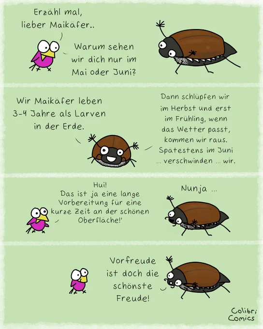 Colibri spricht mit einem Maikäfer darüber, warum er nur im Mai oder Juni zu sehen ist.
Er erzählt, dass sie 3-4 Jahre als Larven in der Erde leben.
Dann schlüpfen sie im Herbst und erst, wenn das Wetter passt, kommen sie raus. Spätestens im Juni verschwinden sie wieder.

Colibri bemerkt, dass das eine lange Vorbereitungszeit ist. Der Maikäfer erzählt, dass Vorfreude doch die schönste Freude ist.