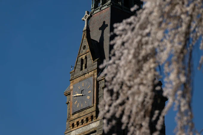 Close-up view of the clock tower on the Georgetown University Healy Hall, with a blossoming tree branch in the foreground.