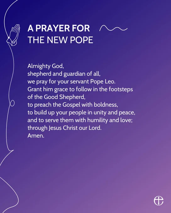 A Prayer for the new Pope

Almighty God, 
shepherd and guardian of all,
We pray for your servant Pope Leo.
Grant him grace to follow in the footsteps
of the Good Shepherd,
to preach the Gospel with boldness,
to build up your people in unity and peace,
and to serve them with humility and love;
through Jesus Christ our Lord.
Amen.

