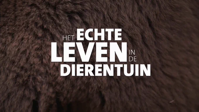 Op een bruine vacht in grote witte letters: Het echte leven in de dierentuin.