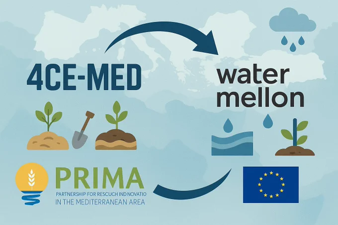 To know more visit: https://4cemed.eu/4ce-med-and-watermellon-a-shared-path-toward-sustainable-and-climate-resilient-mediterranean-agriculture/
