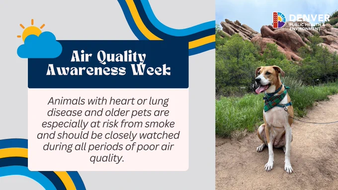 Promotional image for Air Quality Awareness Week by Denver Department of Public Health & Environment, featuring a dog wearing a scarf, sitting outdoors with rocky hills in the background. Text on image raises awareness about the risks of poor air quality on animals with heart or lung disease.