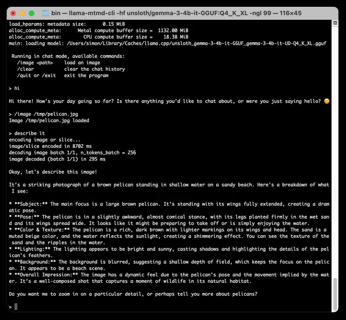 macOS terminal running a Gemma 3 4B vision model, which can then load a pelican.jpg photo and describe it