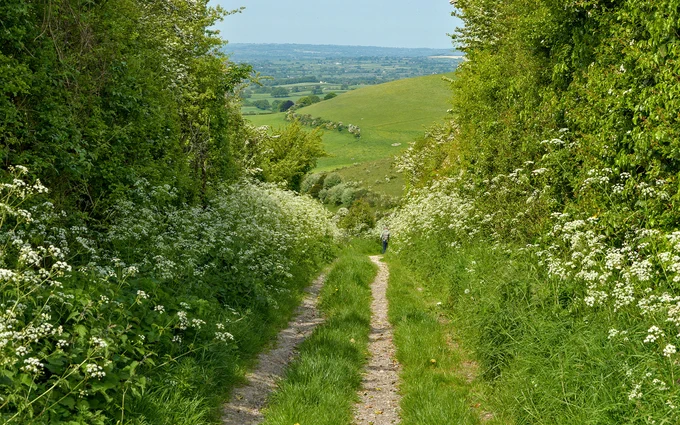 Walking in the beautiful Dorset countryside.