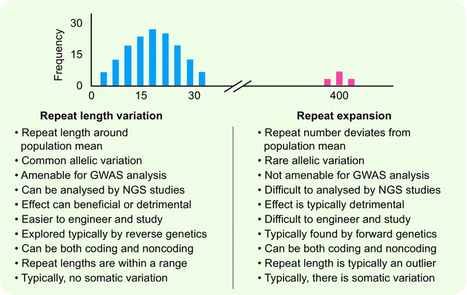 Differences between repeat length variations and repeat expansions. x-axis refers to the number of copies of the repeat, and y-axis refers to the frequency.