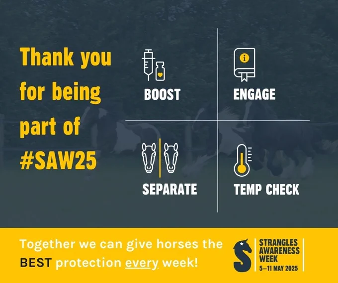 A graphic contains the copy 'Thank you for being part of #SAW25 - Boost, Engage, Seperate, Temp Check. Together we can give horses the BEST protection every week!