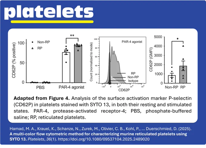 Adapted from Figure 4. Analysis of the surface activation marker P-selectin (CD62P) in platelets stained with SYTO 13, in both their resting and stimulated states. From Hamad, et al. (2025), 
https://doi.org/10.1080/09537104.2025.2489020.

