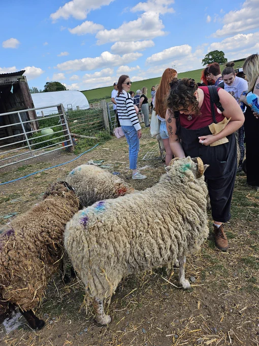 Visitors spend time with friendly sanctuary animals