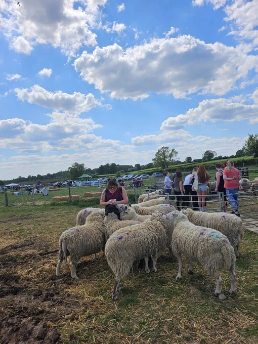 Visitors spend time with friendly sanctuary animals 