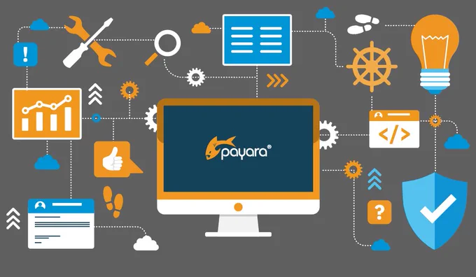 Platform Engineering at Payara