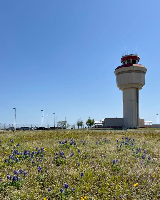 An air traffic control tower with a red top at an airport, surrounded by a field dotted with bluebonnets and other wildflowers under a clear blue sky.