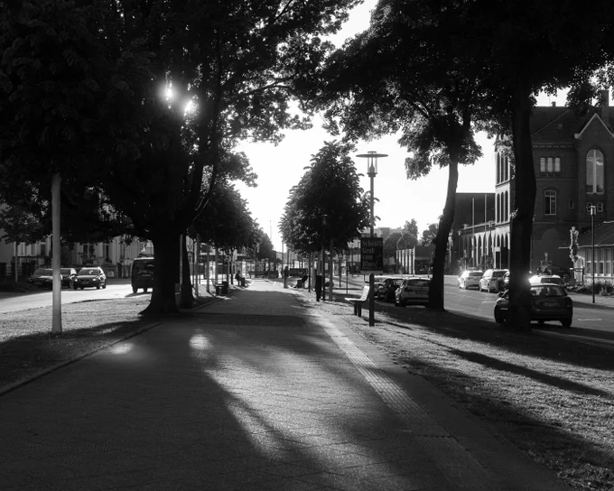 Black and white photograph of a tranquil local street with trees, buildings, and parked cars. Gentle, elongated shadows and soft natural light create a nostalgic, serene atmosphere that captures a quiet moment in time.