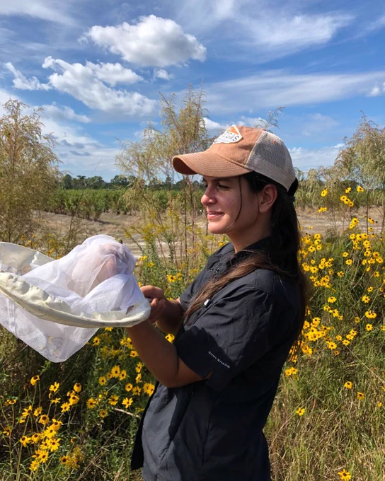 Person wearing a ball cap, holding a net outdoors in a field of yellow flowers under a clear sky.