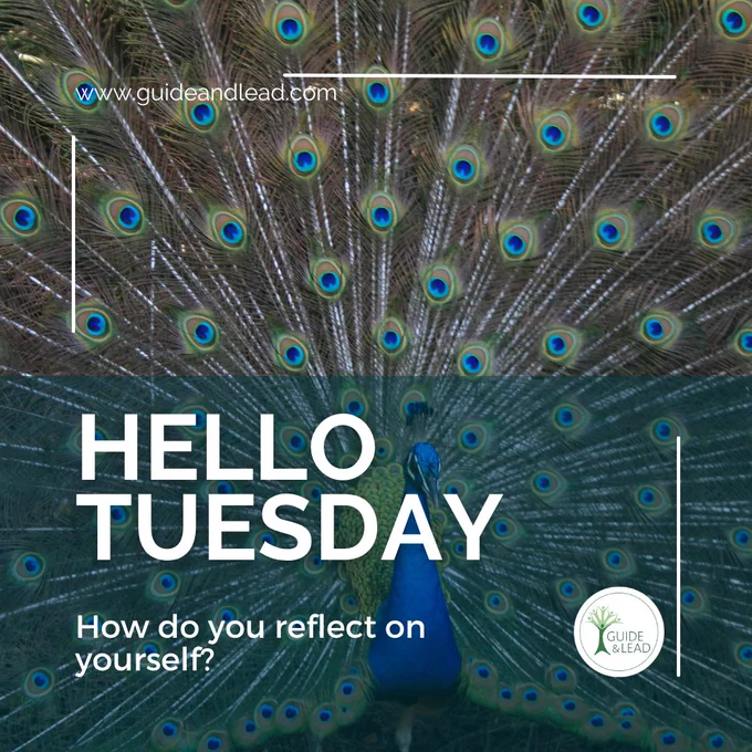 A picture of a peacock and the question: How do you reflect on yourself? under the headline 'Hello Tuesday' and next to the Guide and Lead company logo