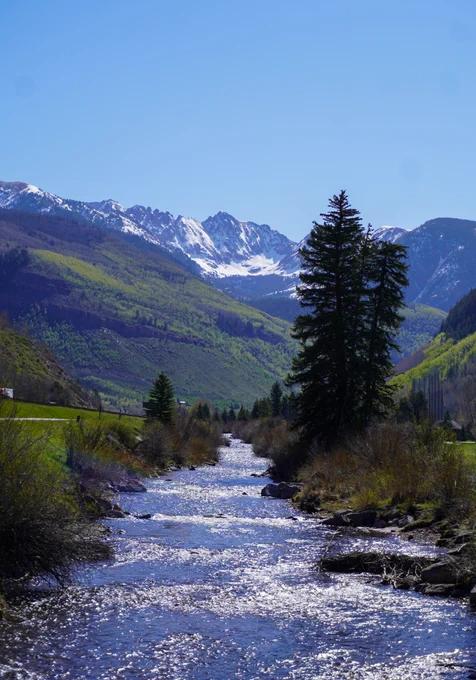 A scenic view of the Gore Creek flowing through a valley with lush greenery, leading towards the snow-capped Gore Range under a clear blue sky.