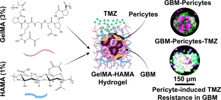 Graphical abstract for linked paper. 
