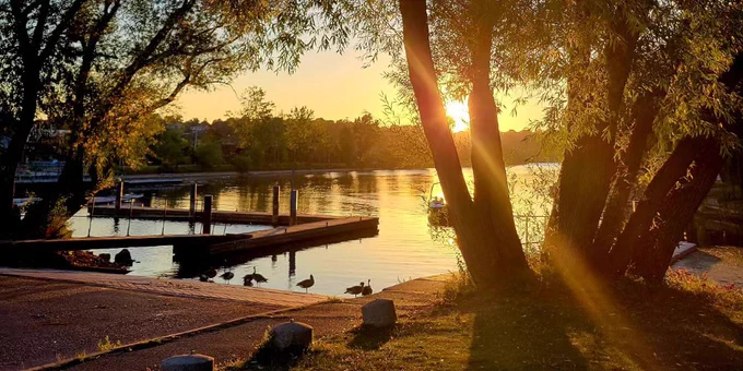 Sun shining between the tress and on the water at the start of the Bayfront Park trail. 
