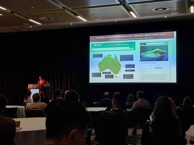 Dr Susie Collins presenting a slide of the APPD database and PaDIL image in front people seated around round tables. 