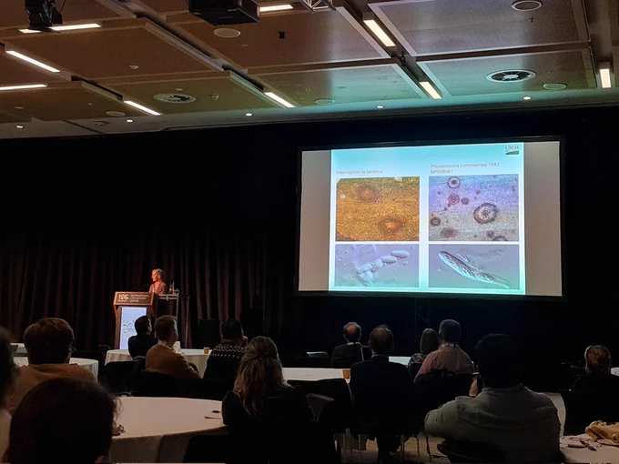 Dr Megan Romberg presenting a slide with microscopic images of an ascomycete with four ascospores in asci in front people seated around round tables. 
