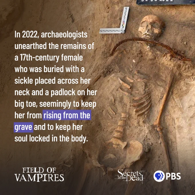 Image of a partially uncovered skeleton with a sickle across its neck. Text reads "in 2022, archeologists unearthed the remains of a 17th century female who was buried with a sickle placed across her neck and a padlock on her big toe, seemingly to keep her from rising from the grave and to keep her soul locked in her body. 
