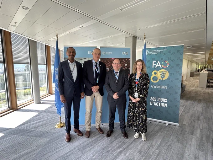 Standing in front of two UN flags and three FAO roll-up banners, a delegation of four smile for a photo together at the FAO Geneva office. From left, Nourou Macki Tall, Senior Liaison Officer, FAO Geneva, Dominique Burgeon, Director FAO Geneva, Tobias Privitelli, Director, GICHD, Greta Zeender, Head of the External Relations, Policy Research and Cooperation Programme Division, GICHD.