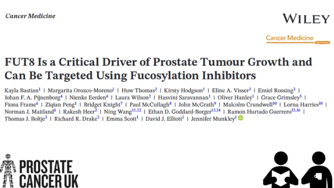A study led by Jennifer Munkley showing FUT8 is a critical driver of prostate tumour growth. Researchers at @NU_Cancer report in @CancerMedicineJ that FUT8 promotes tumour growth and can be blocked by fucosylation inhibitors, revealing a key therapy target.