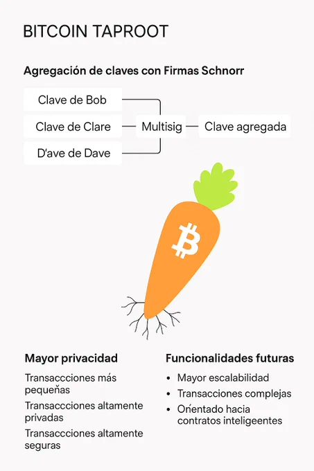 Imagen extraída de: https://www.cryptohopper.com/news/bitcoin-s-taproot-upgrade-what-you-need-to-know-4264