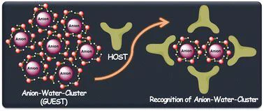 This highlight summarises recent research work done in the field of anion recognition chemistry, with a focus on designing artificial receptors for encapsulating anion–water clusters.