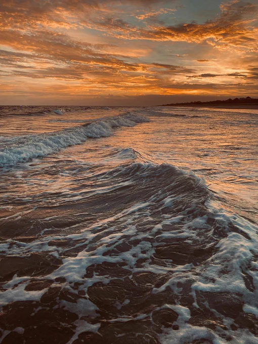 Photography by hohojenks V