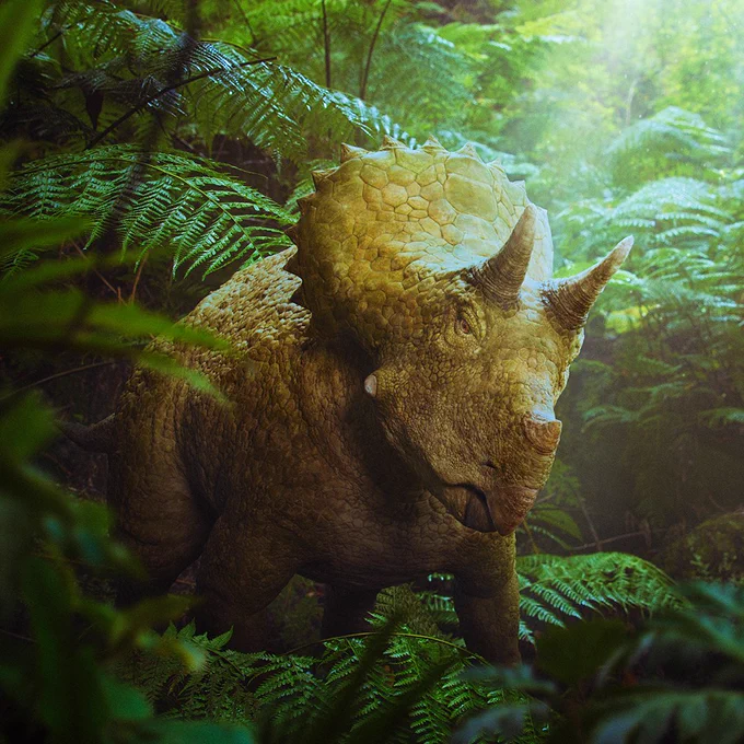 A young Triceratops stands in a forest.