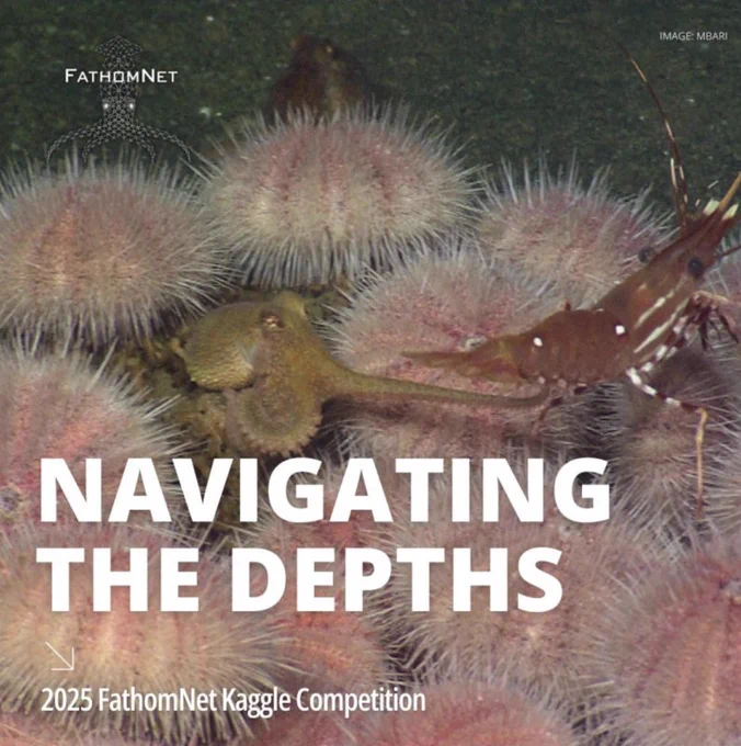 Pink sea urchins an octopus, and a shrimp with text reading, "Navigating the Depths: 2025 Fathomnet Kaggle Competition"