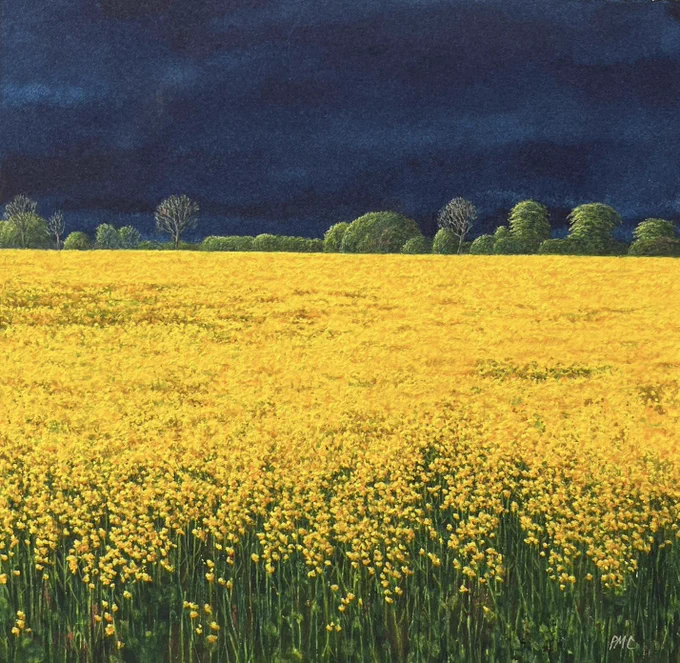 Dark storm skies over fields of yellow