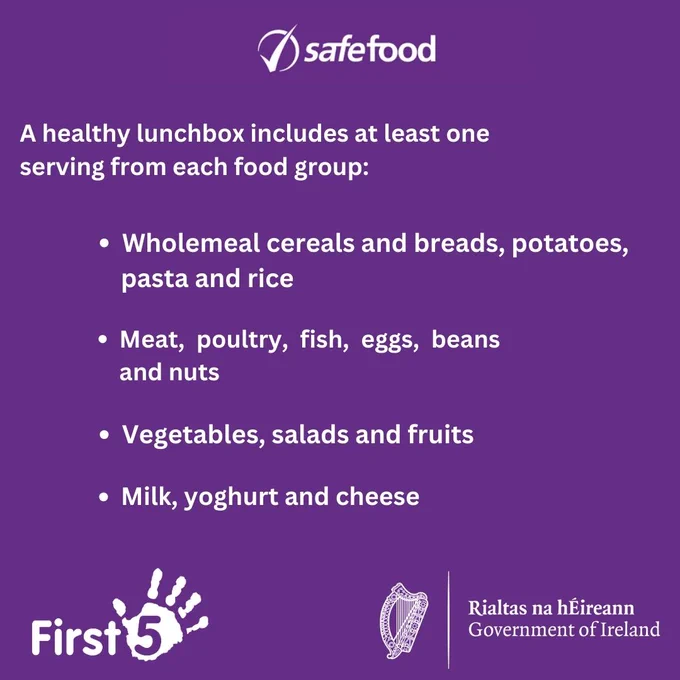 Photograph in purple shows the Safe Food logo at the top, with the logos for First 5 and the Government of Ireland at the bottom. 

The text reads, "A healthy lunchbox includes at least one serving from each food group: Wholemeal cereals and breads, potatoes, pasta and rice, Meat, poultry, fish, eggs, beans and nuts, Vegetables, salads and fruits, Milk, yoghurt and cheese.