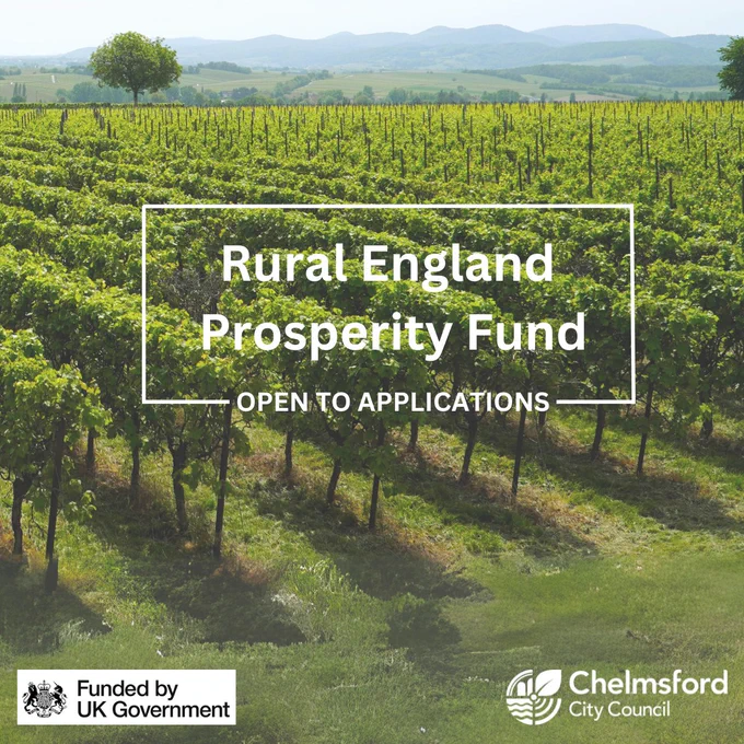 Rural England prosperity Fund.  Open To Applications.  Funded by UK Government.  Chelmsford City Council logo in white.  The beautiful Galleywood Vineyard – a previous REPF recipient and Chelmsford-based business.