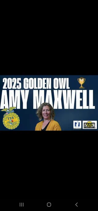 golden owl