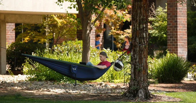 Person relaxing in a hammock tied between trees on a sunny day in a park-like setting, with others enjoying the outdoors in the background.