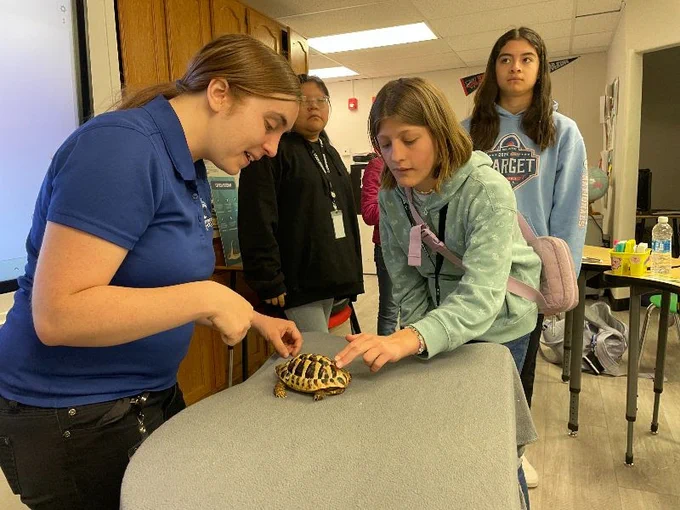 a woman in a blue polo is showing a girl a tortoise. a few people stand in the background.