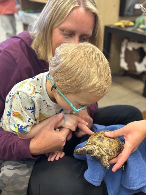 a woman holds a boy in her lap while he looks down and points at a turtle held by someone off camera.