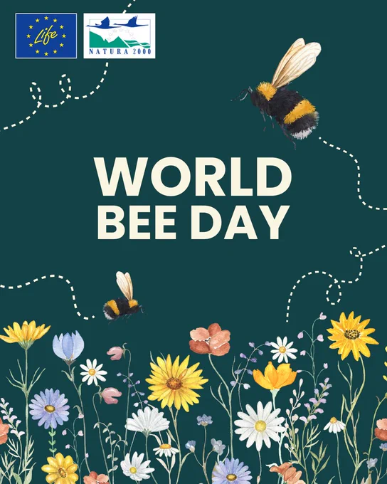 world bee day