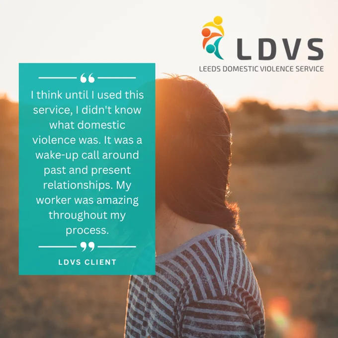 Image of a person looking away with hair covering their face. Quote that reads "I think until I used this service, I didn't know what domestic violence was. It was a wake-up call around past and present relationships. My worker was amazing throughout my process." - LDVS client.