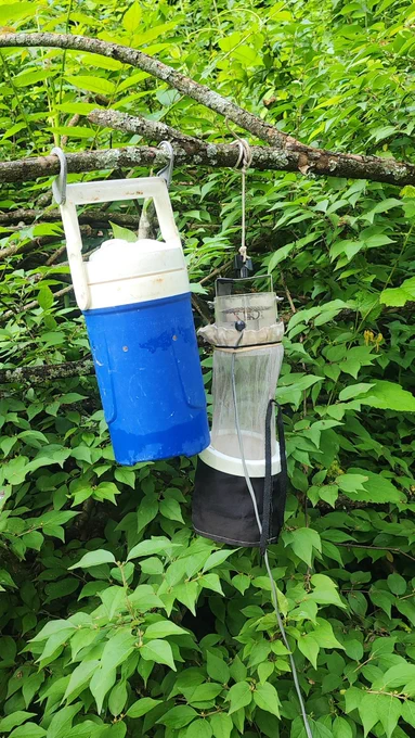Light trap without the light, but with a cooler holding dry ice. When the dry ice sublimates it emits CO2 and lures the lady mosquitoes. FACT only female mosquitoes bite.
