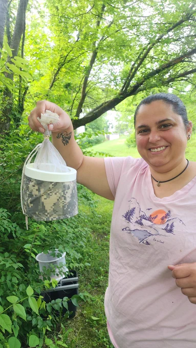 CVM Public Health MS student showing off mosquitoes collected with a light trap (we don't use the light- we use co2 or a stinky lure)