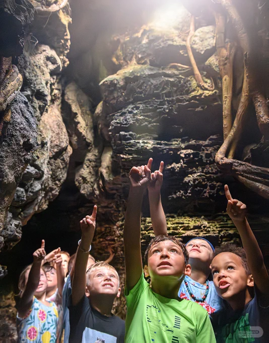 A group of kids in a cave looking up and pointing up.